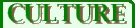 Onglet Culture
