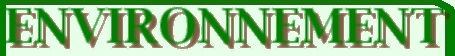 Onglet Environnement